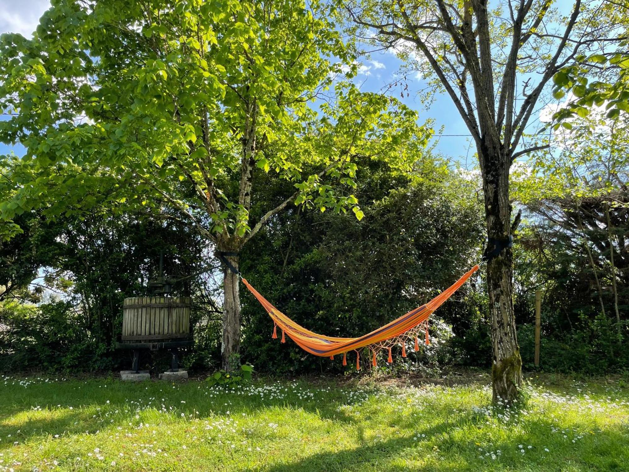 Le Clos Des Trois Provinces, Zoo De Beauval Noyers sur Cher Bagian luar foto