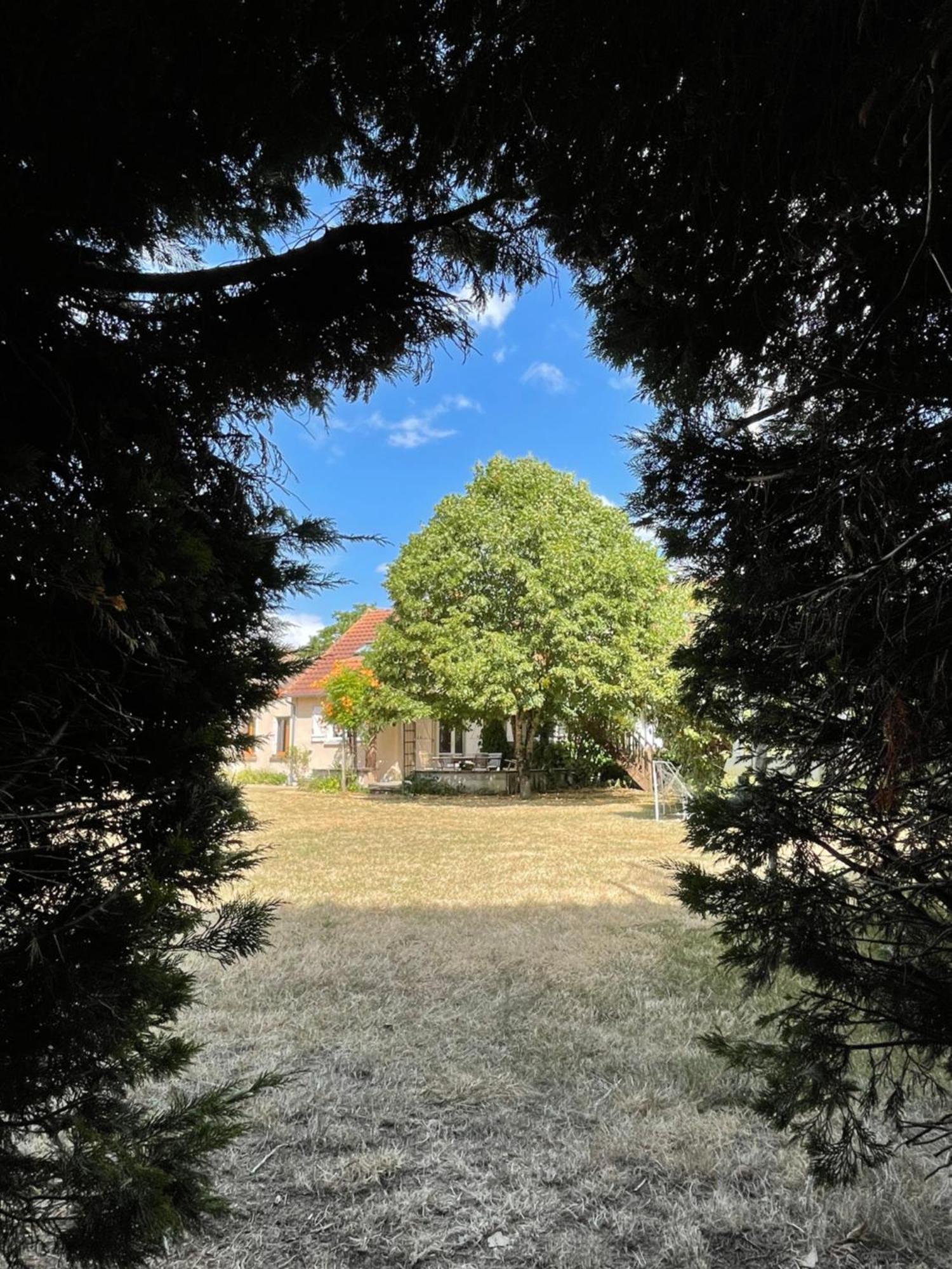 Le Clos Des Trois Provinces, Zoo De Beauval Noyers sur Cher Bagian luar foto